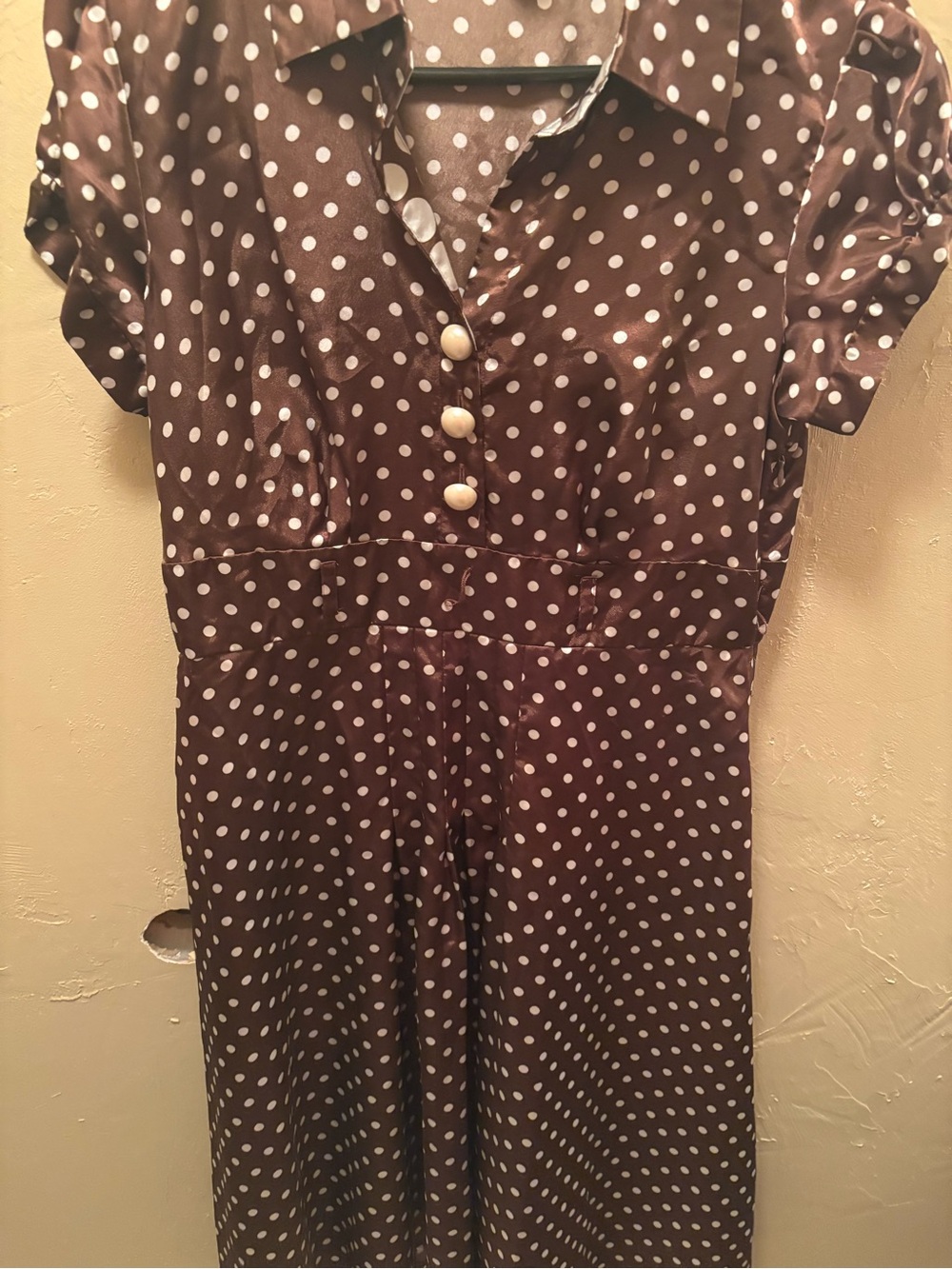 Women’s Vintage Brown Polka Dot Dress with Buttons